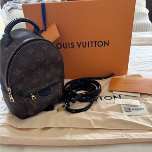Authentic LV Palm Springs mini